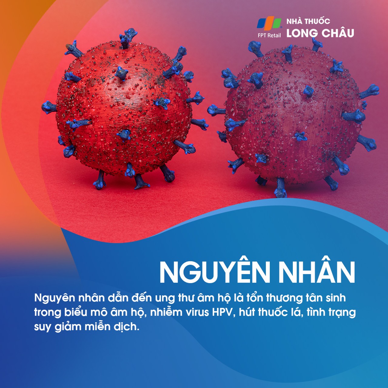 Nguyên nhân gây ung thư âm hộ do nhiễm HPV và các tổn thương tiền ung thư