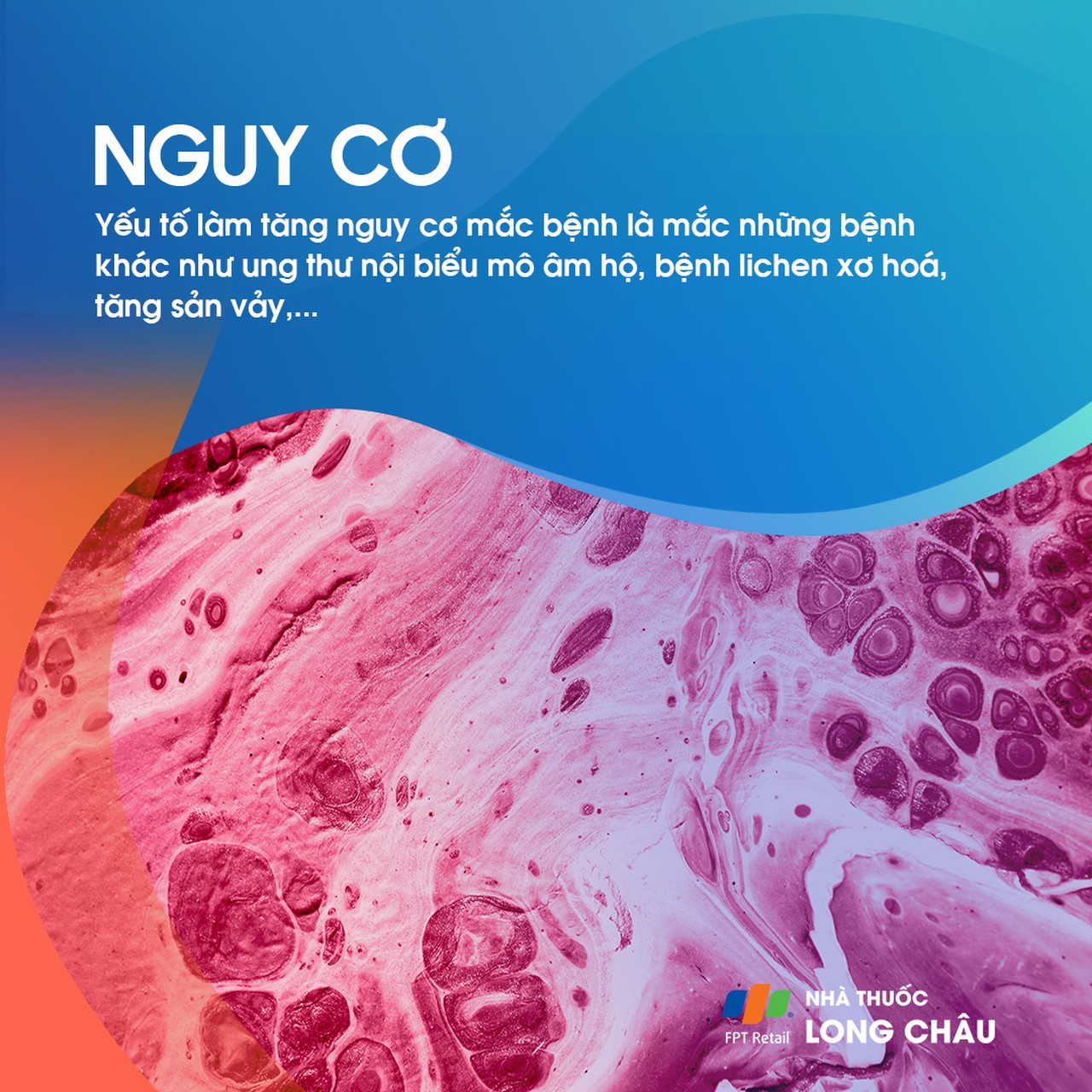 Phụ nữ trung niên và cao tuổi có nguy cơ cao mắc bệnh ung thư âm hộ