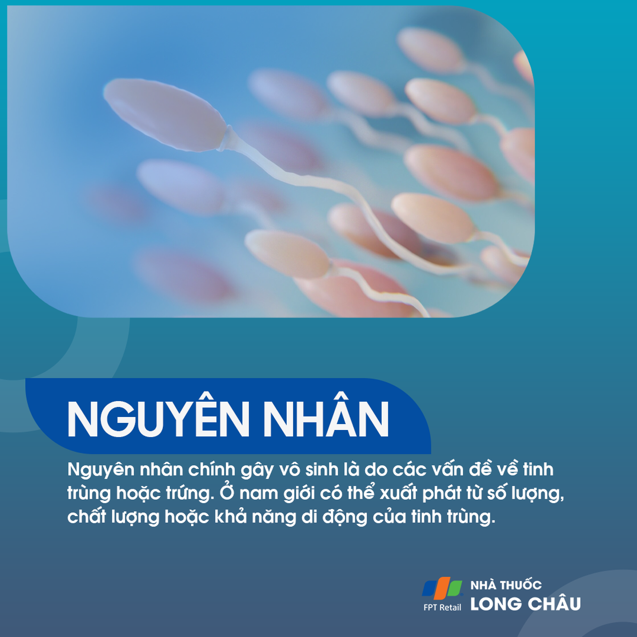 Vô sinh nguyên phát 4