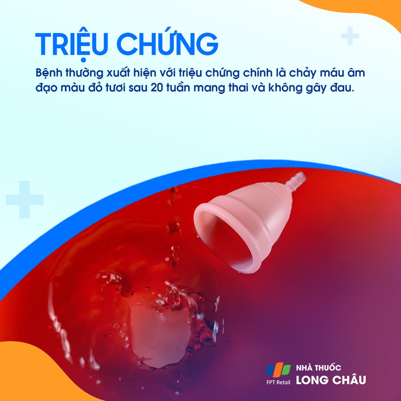 Nhau bám thấp 2