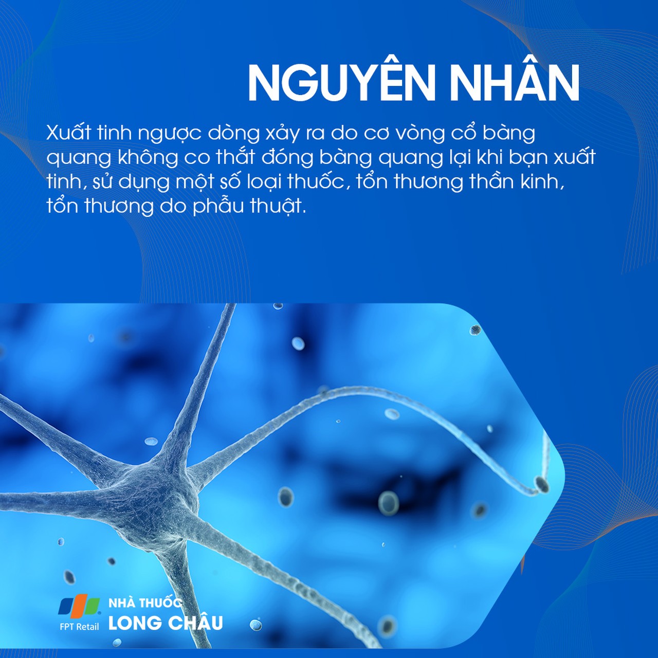 Xuất tinh ngược dòng 3