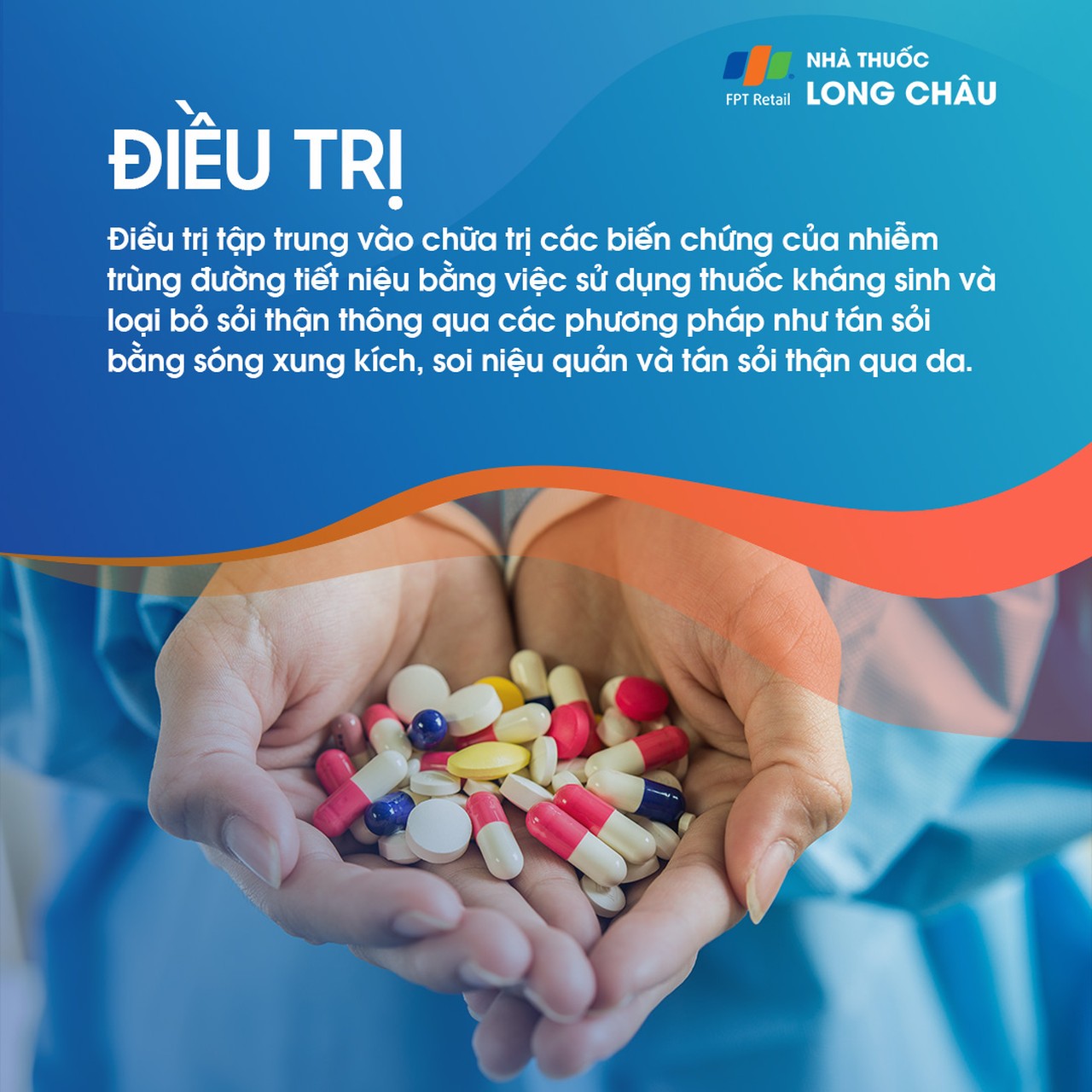 Xốp tủy thận 6