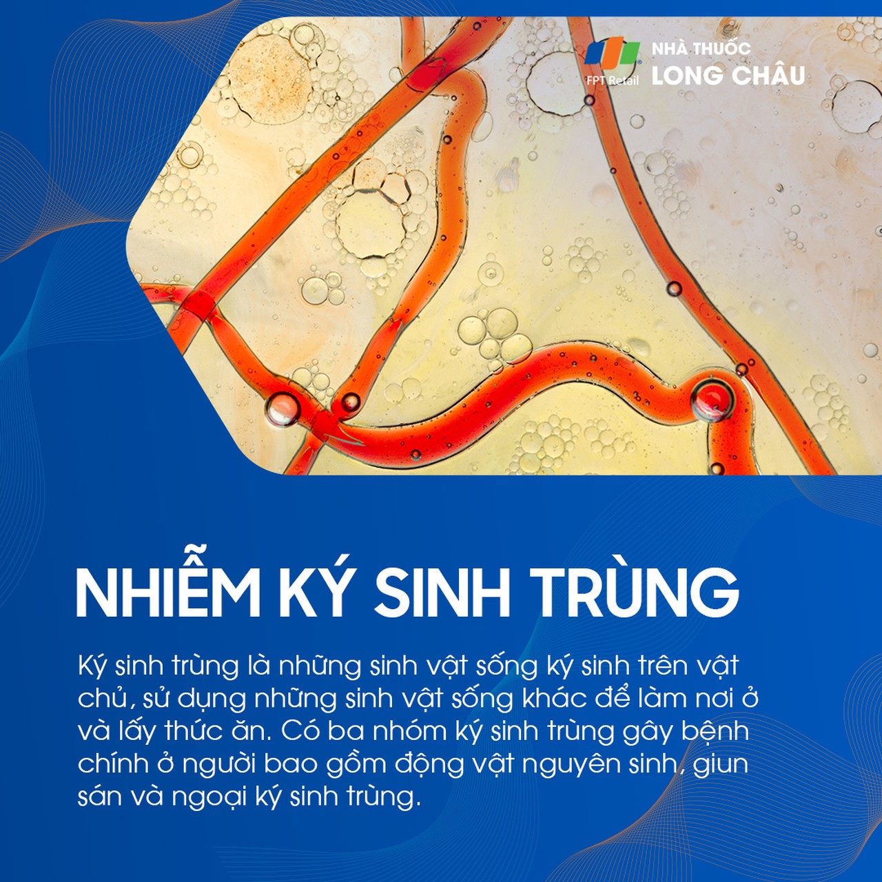 Nhiễm ký sinh trùng 1