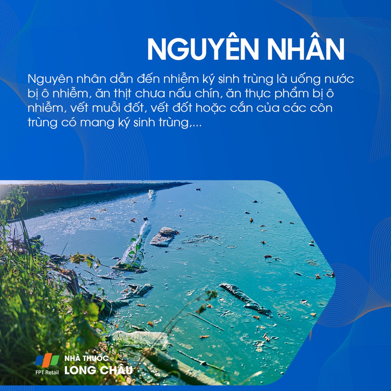 Nhiễm ký sinh trùng 3