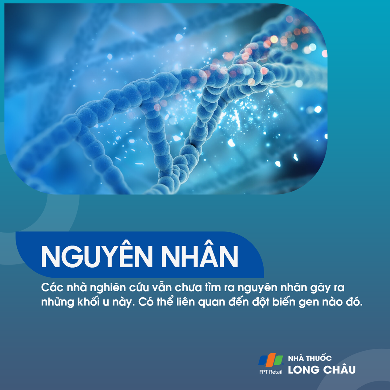 U màng ống nội tủy 3