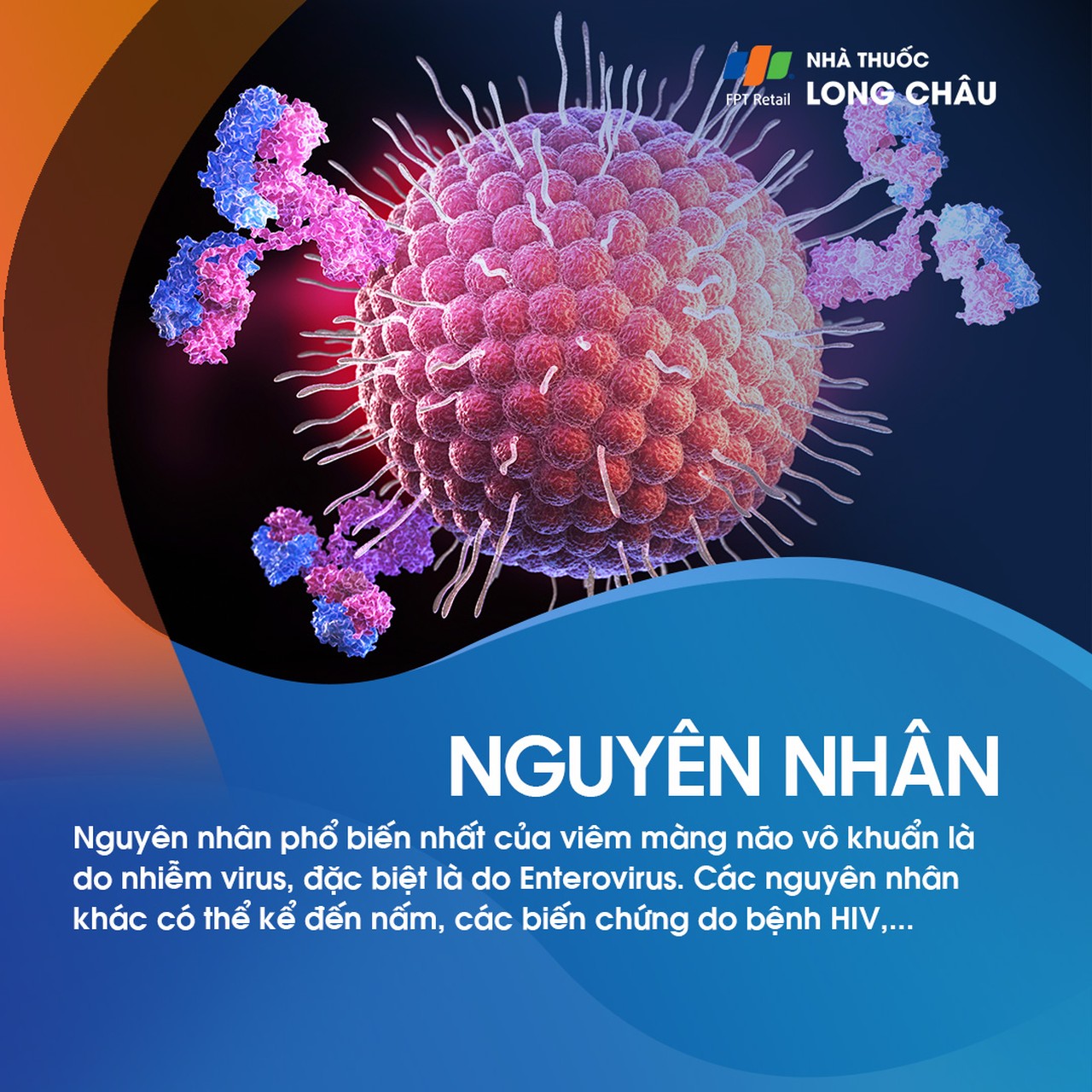 Viêm màng não vô khuẩn 3