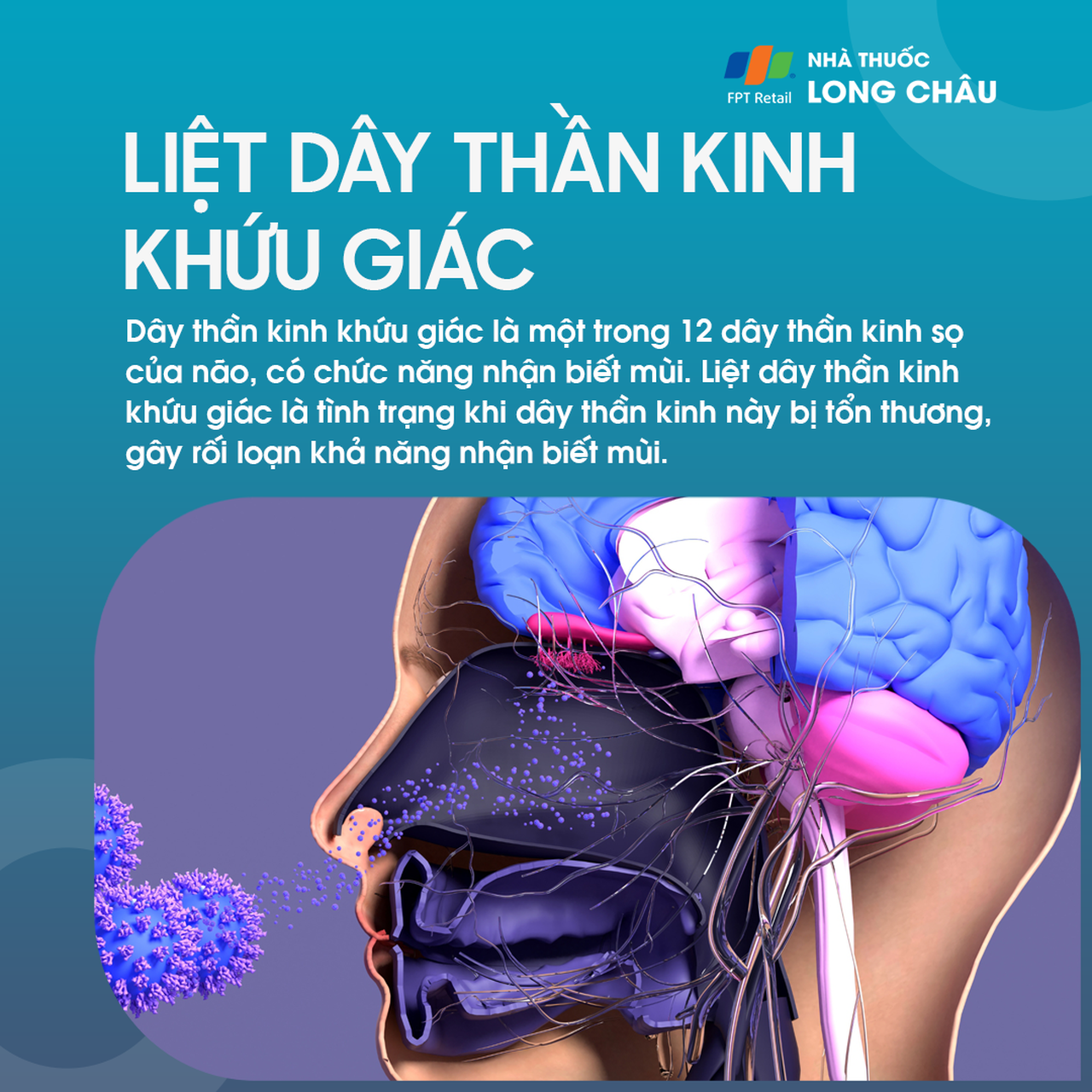 Liệt dây thần kinh khứu giác 1