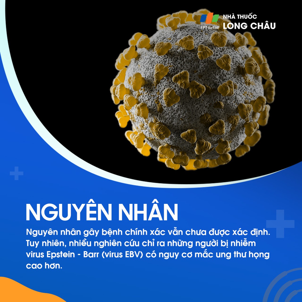 Nguyên nhân chính xác chưa rõ, nhưng virus Epstein–Barr có thể làm tăng nguy cơ ung thư họng