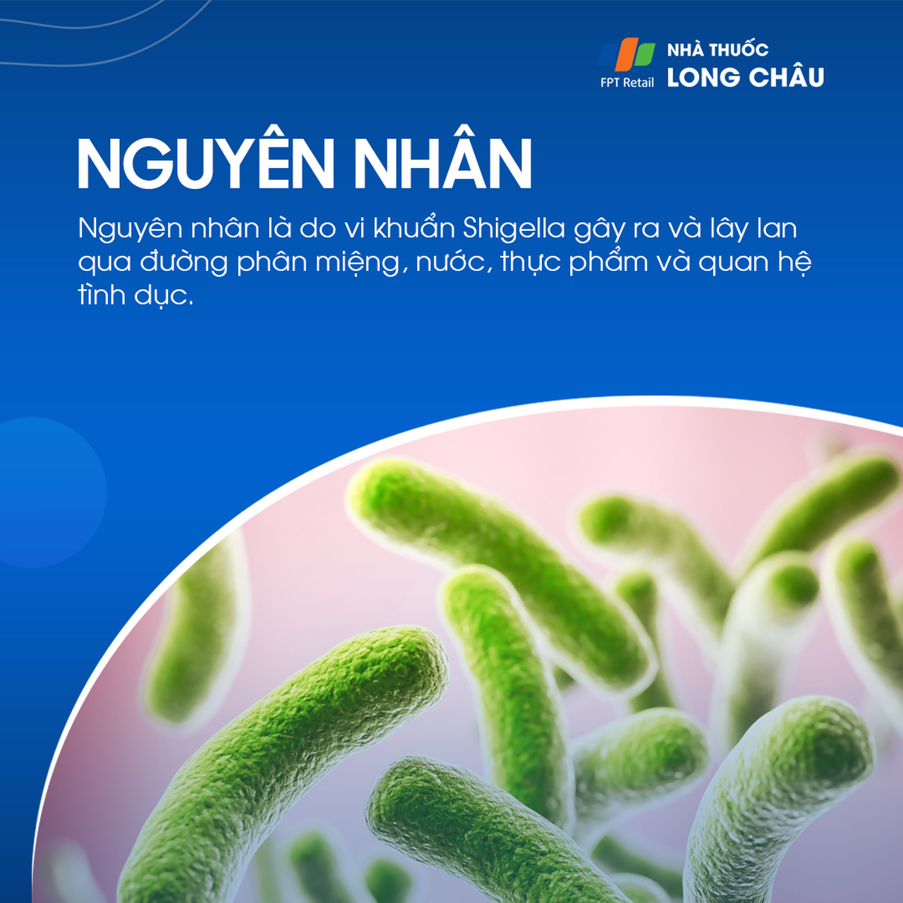 Bệnh lỵ trực khuẩn 3