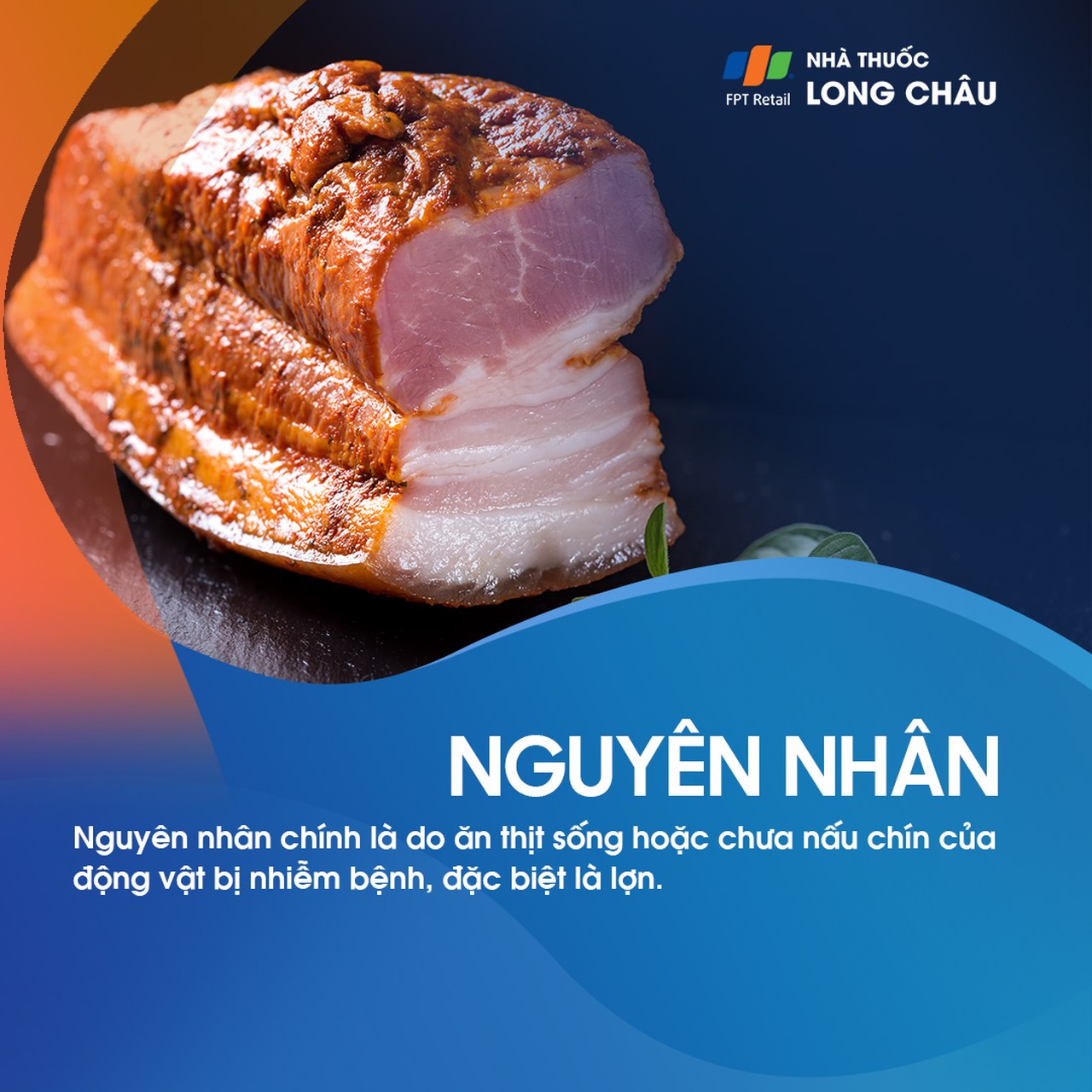 Sán dây lợn 4