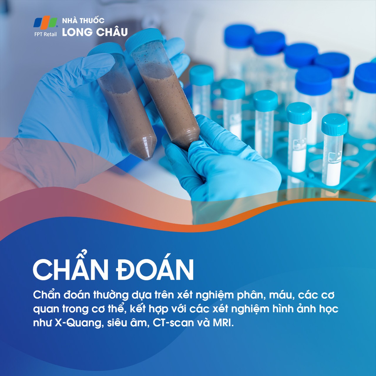 Sán dây lợn 6