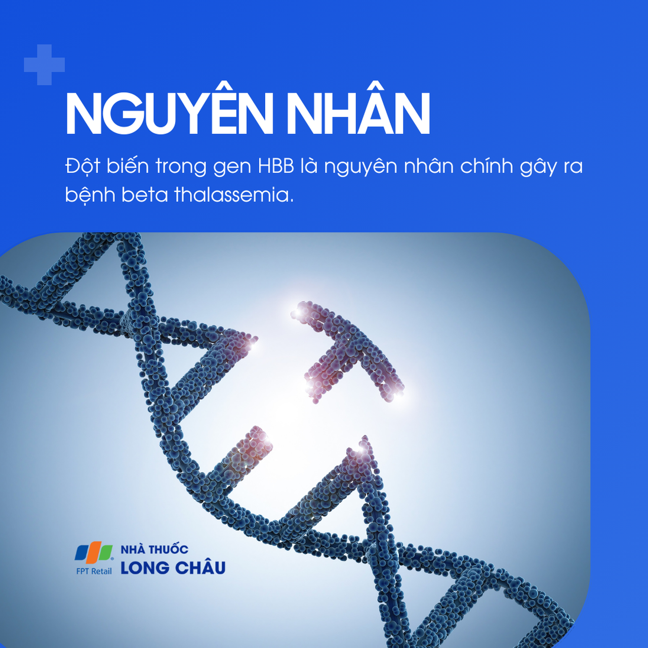 Thiếu máu beta-thalassaemia 3