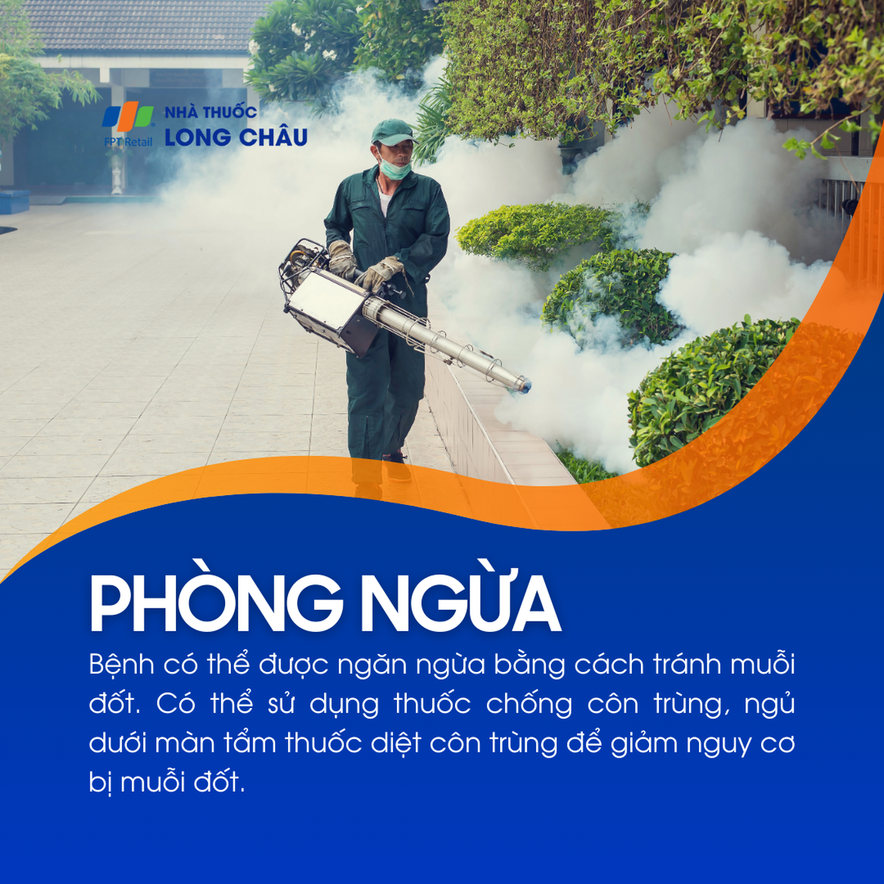 Bệnh Dirofilariasis 7