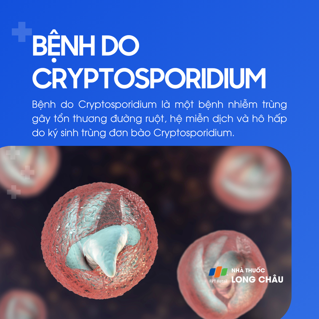 Bệnh do Cryptosporidium 1