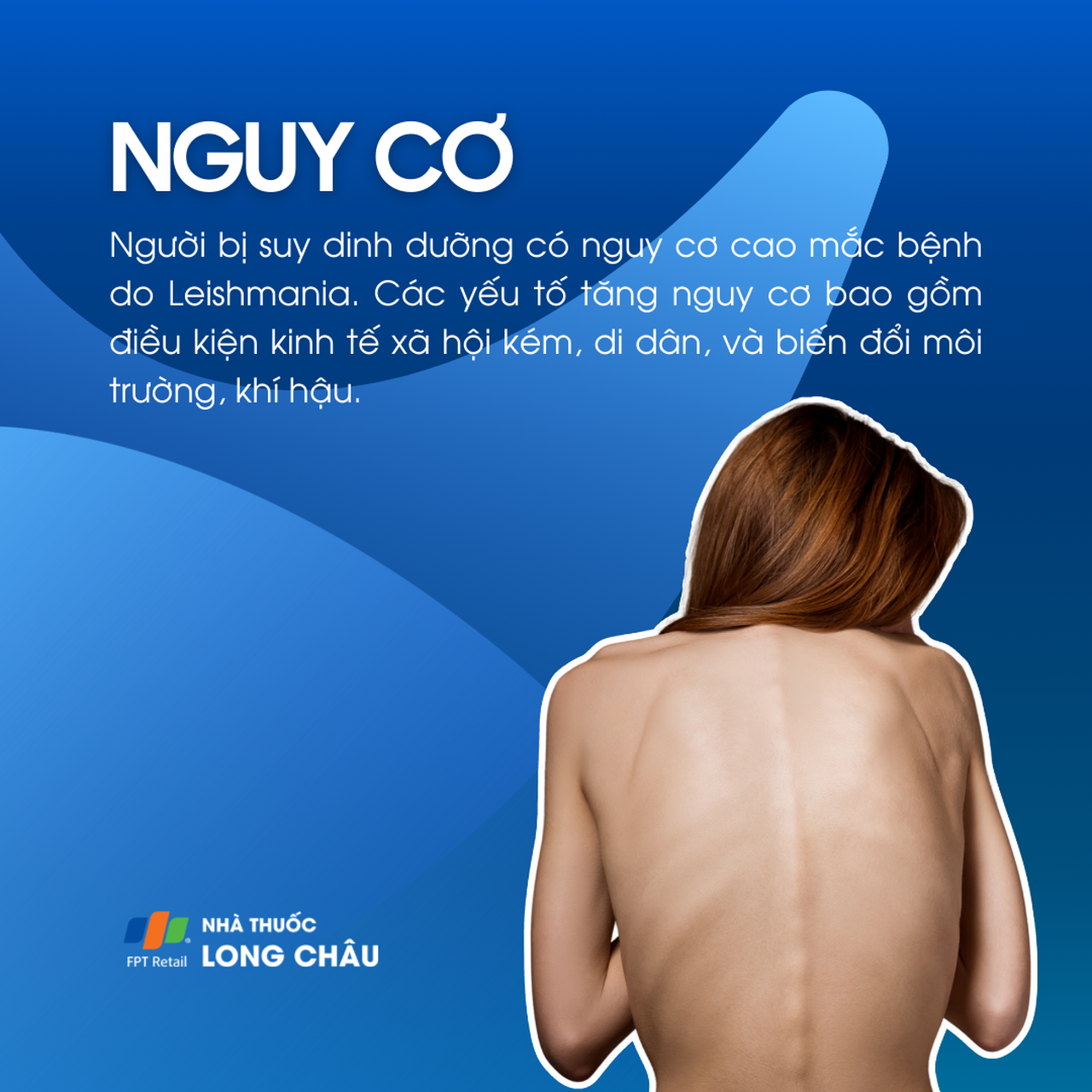 Bệnh do nhiễm Leishmania 4