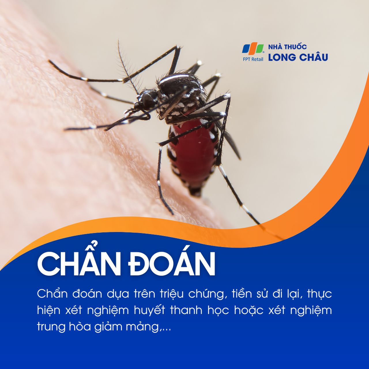 Bệnh do virus Zika  5