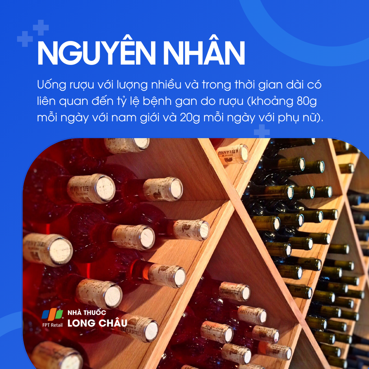 Bệnh gan do rượu 3