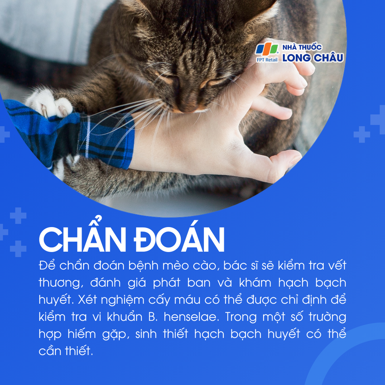 Dựa trên kiểm tra vết thương, khám hạch, phát ban, có thể xét nghiệm cấy máu hoặc sinh thiết hạch