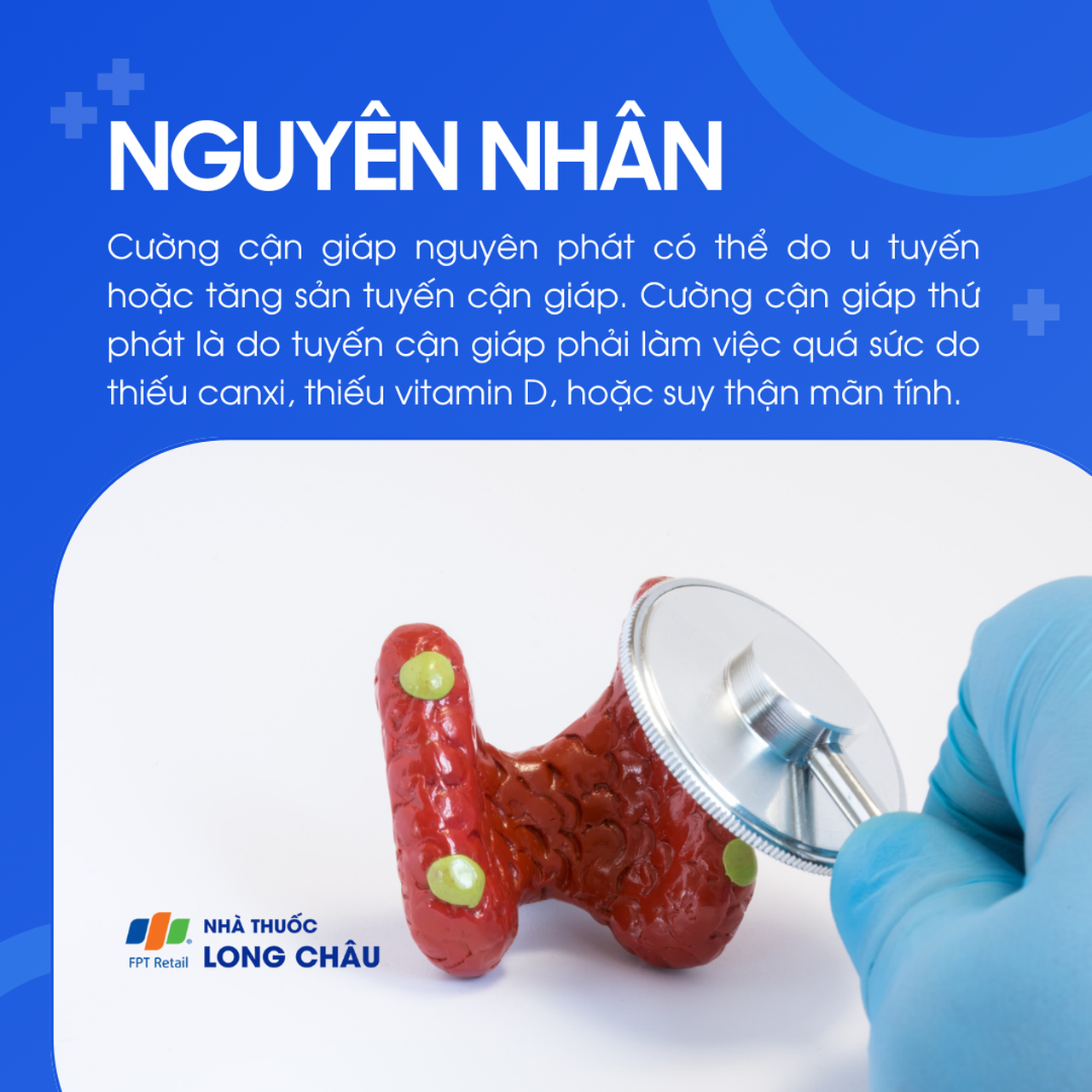 Cường cận giáp 3
