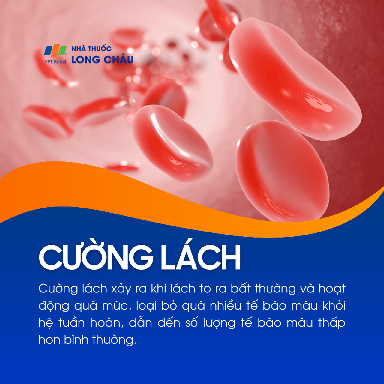Cường lách 1