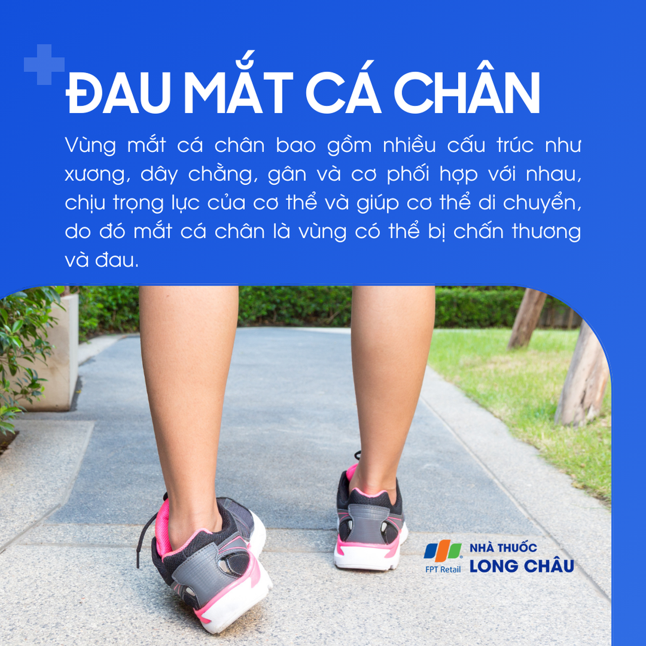 Đau mắt cá chân 1