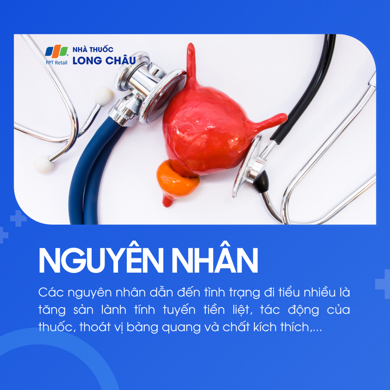 Đi tiểu nhiều 3