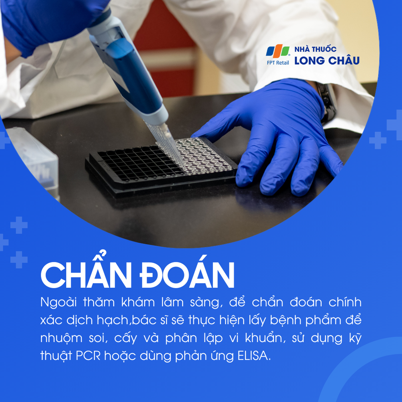 Dịch hạch 6