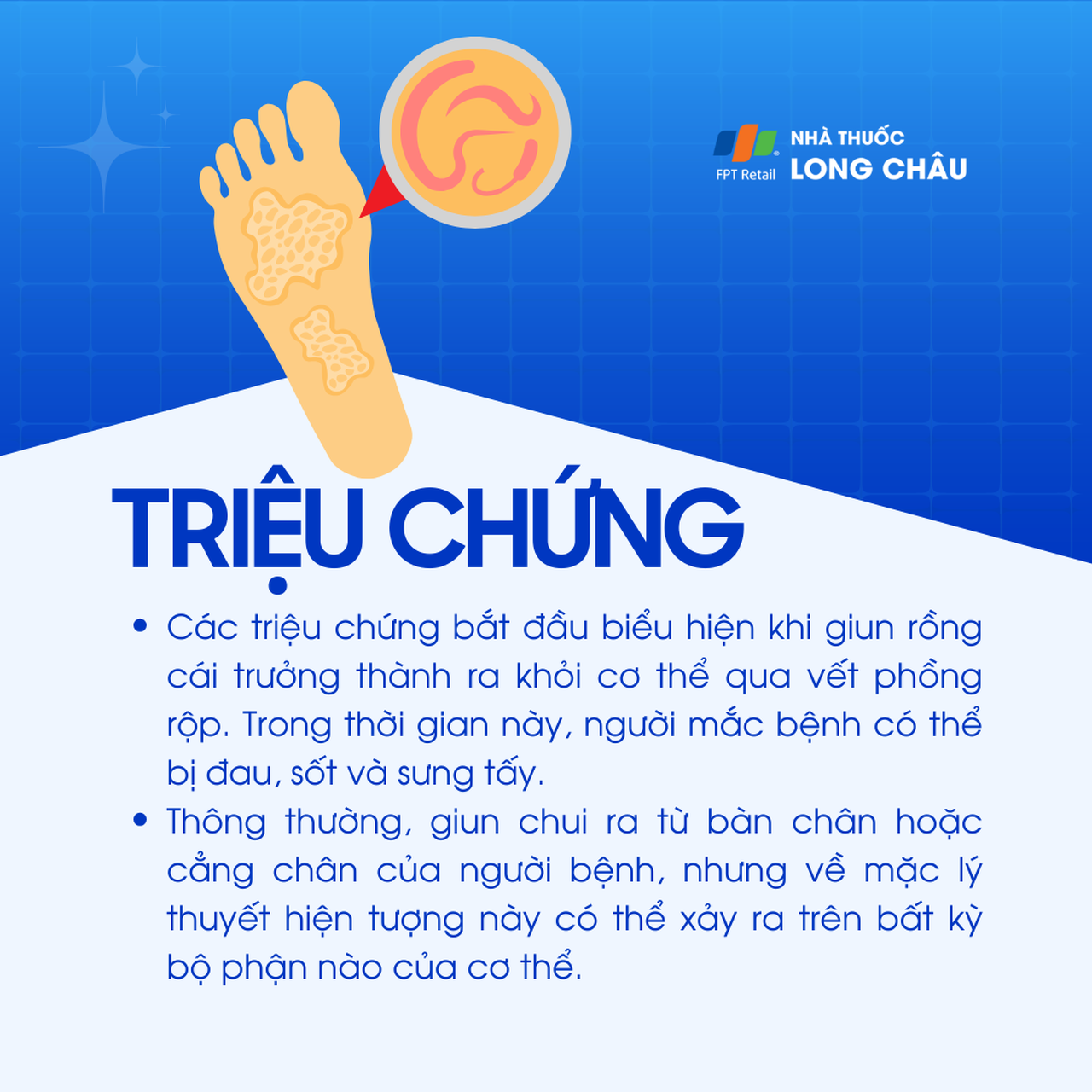 Giun rồng 2
