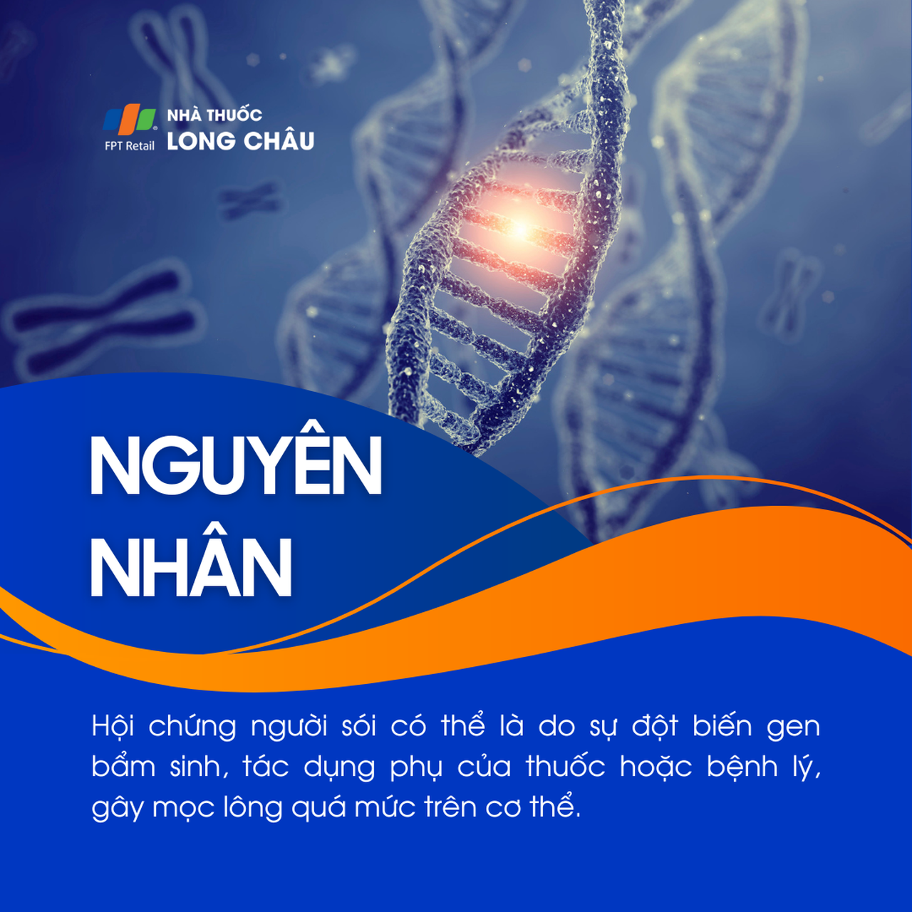 Hội chứng người sói 3