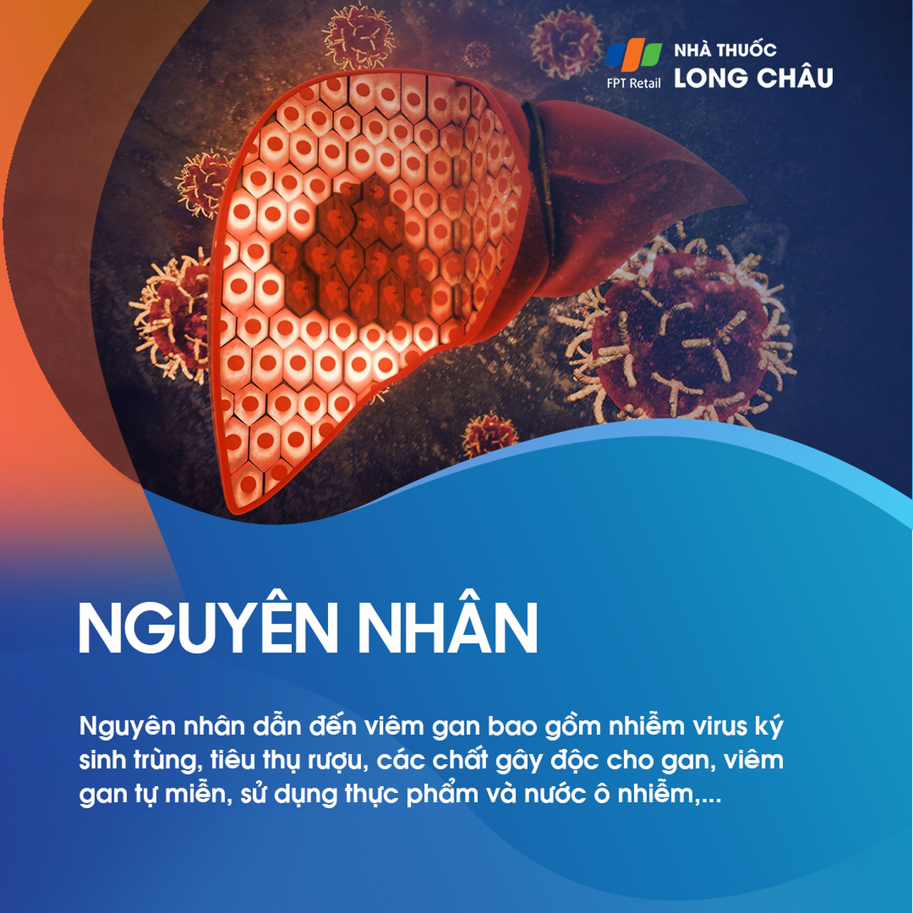 Viêm gan 3