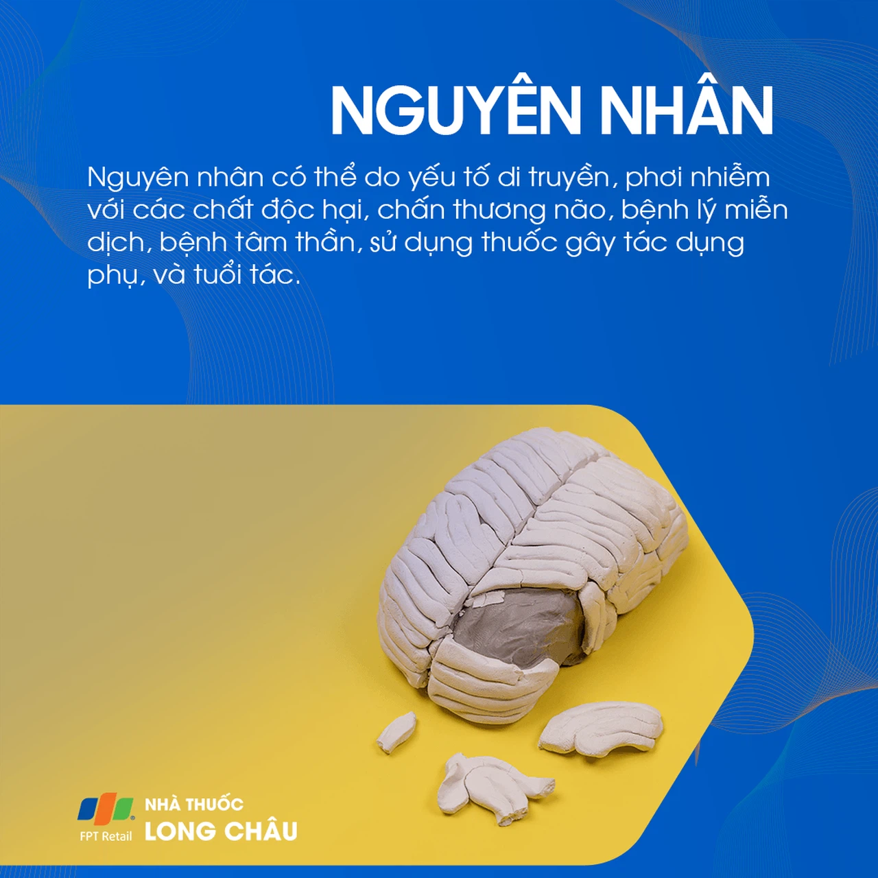 Suy giảm nhận thức 3