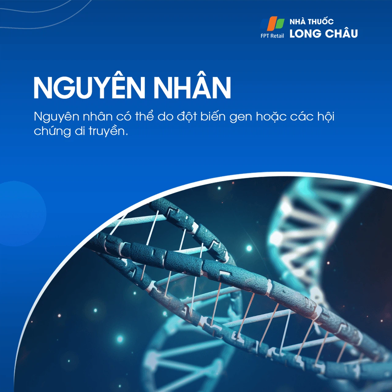 U xương hàm 3