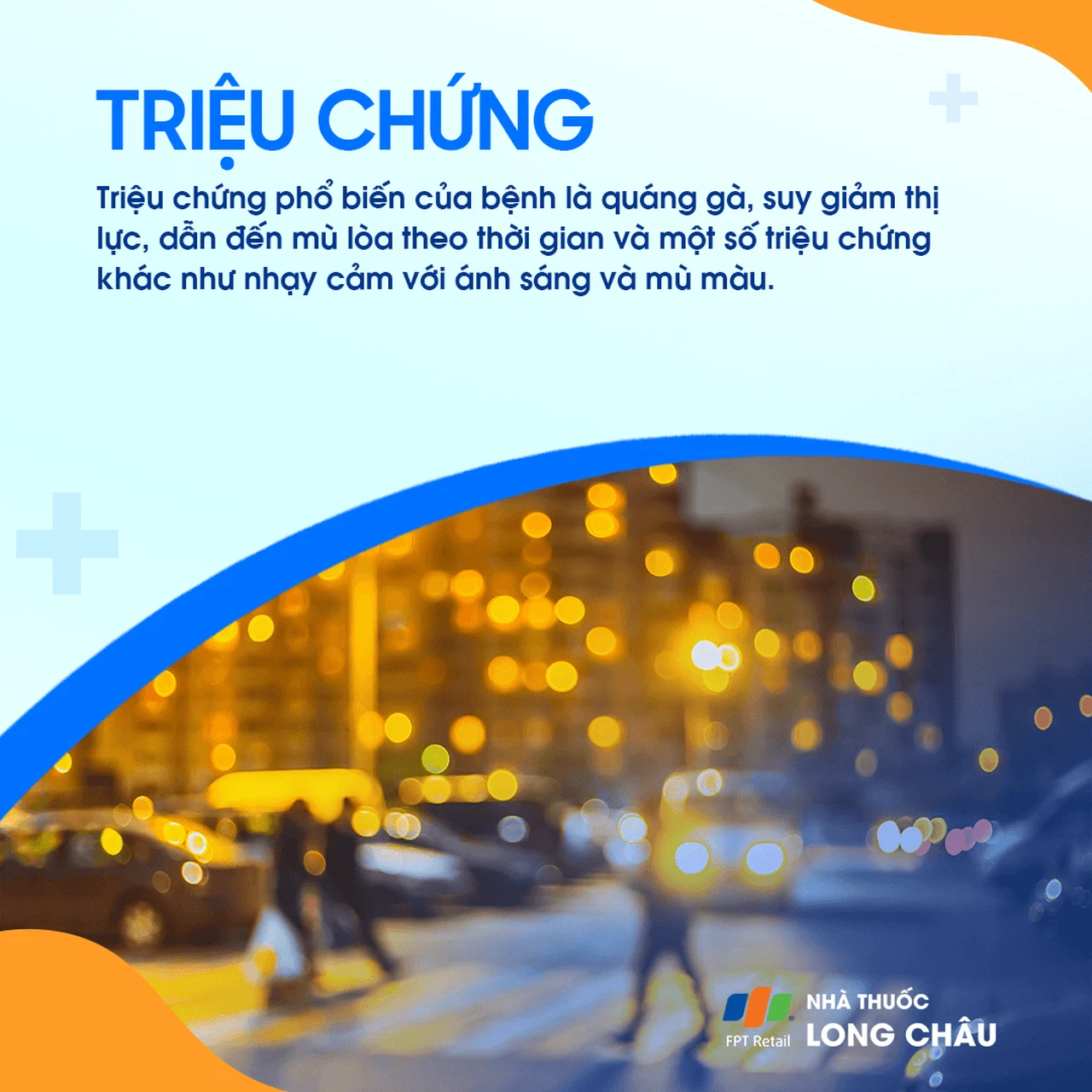 Viêm võng mạc sắc tố 2
