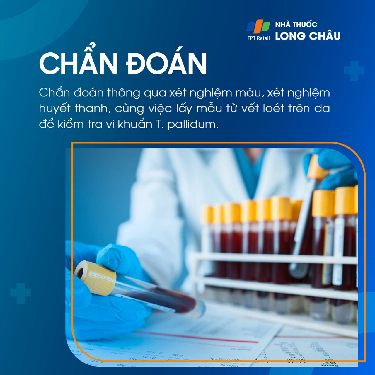 Ghẻ cóc 5