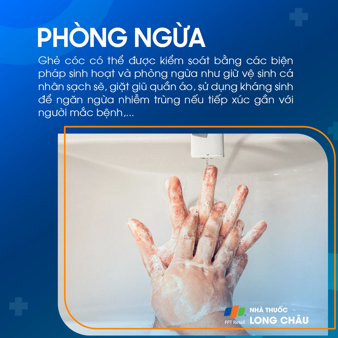 Ghẻ cóc 7