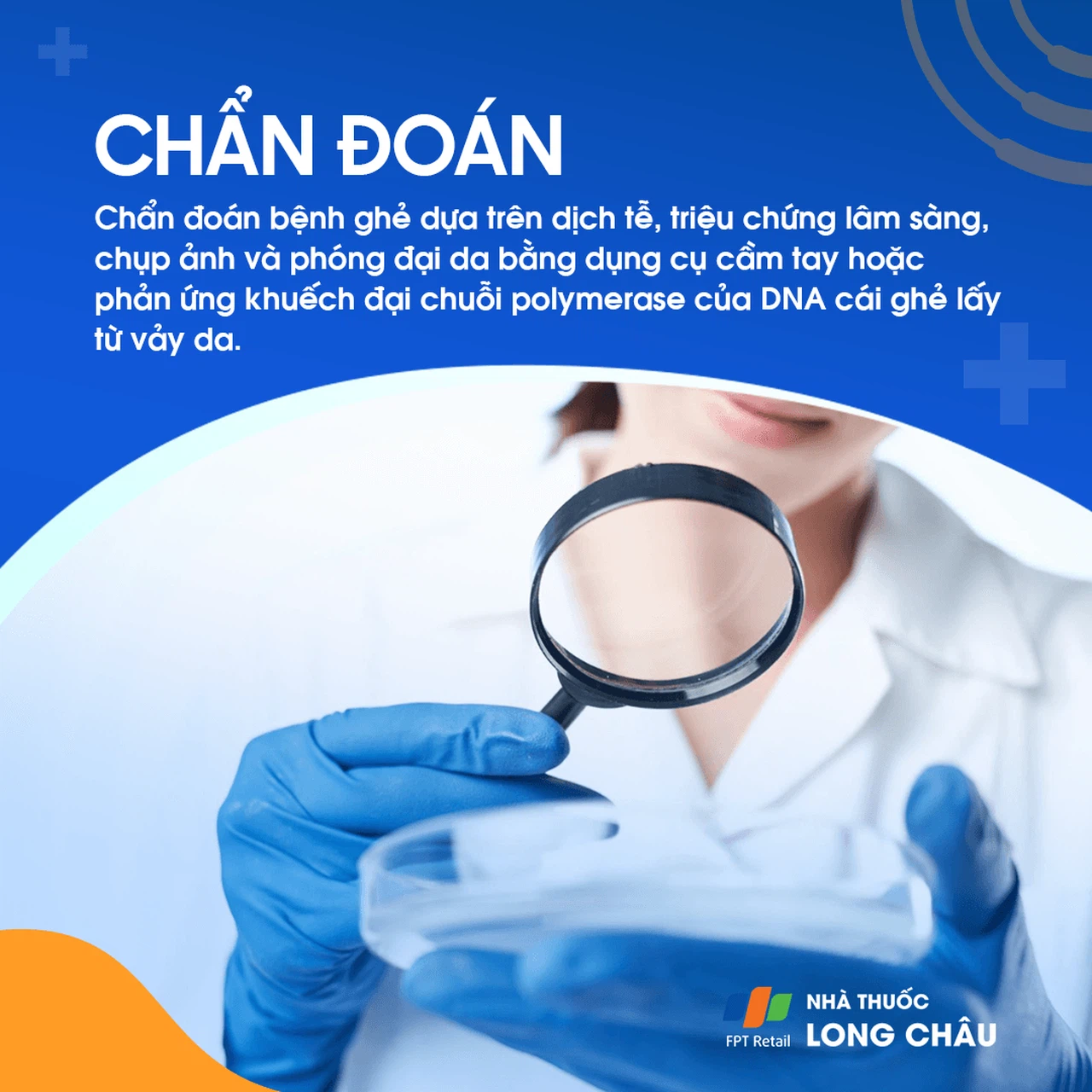 Ghẻ 5