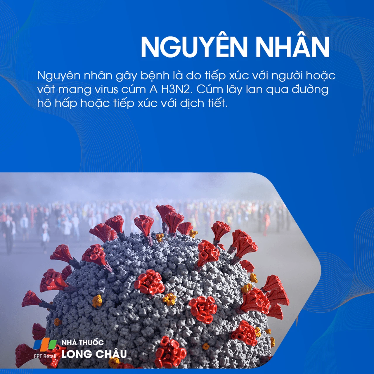 Cúm A H3N2 3