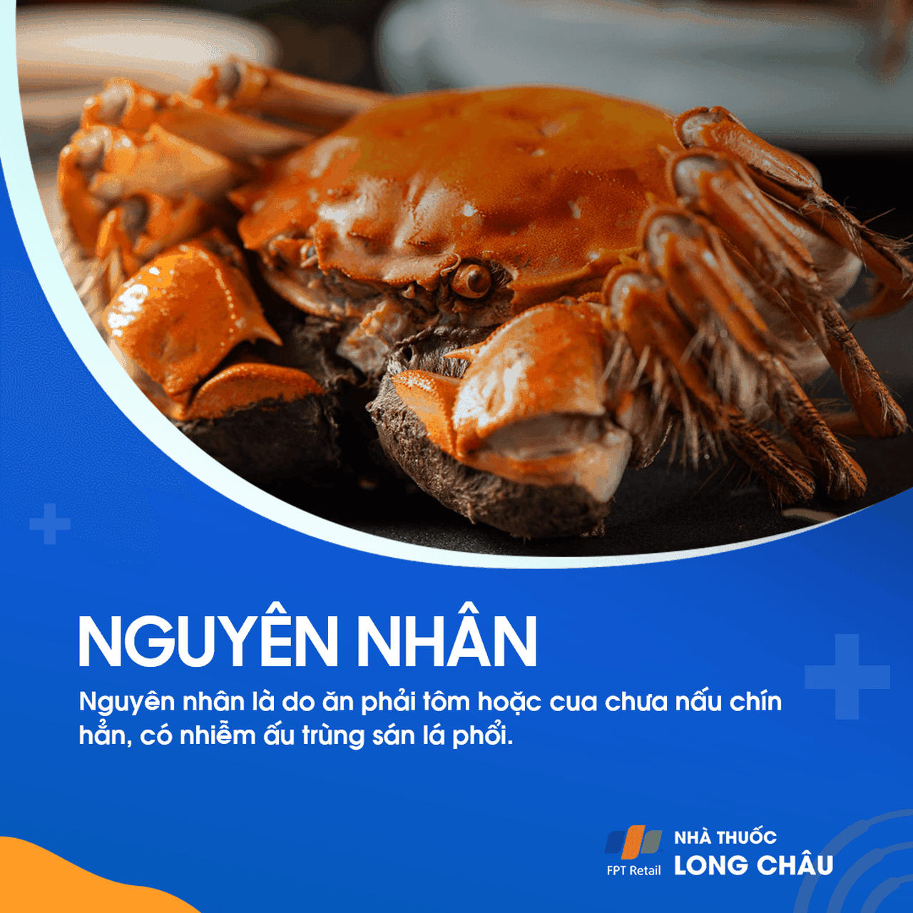Sán lá phổi 7