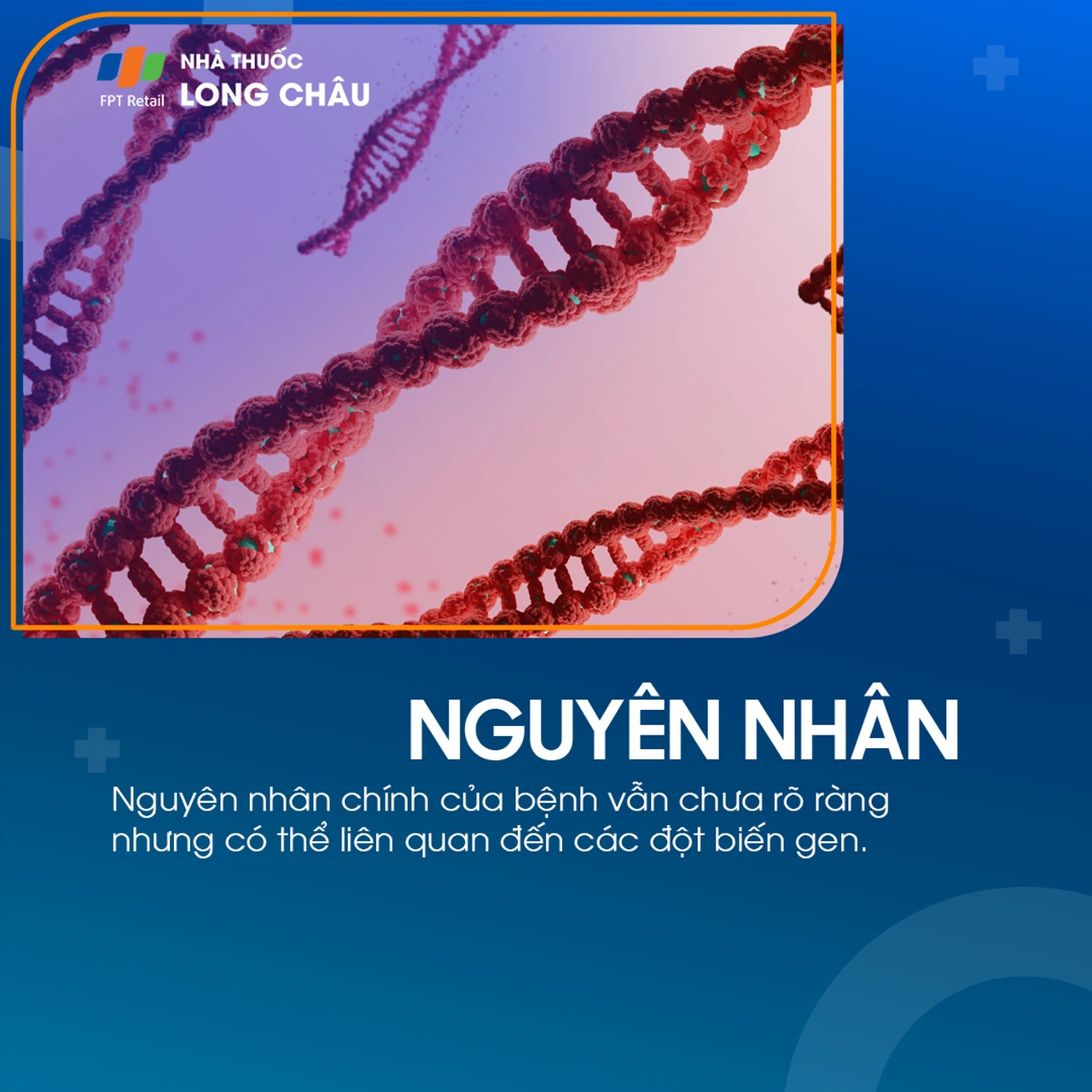 Tăng tiểu cầu tiên phát 3