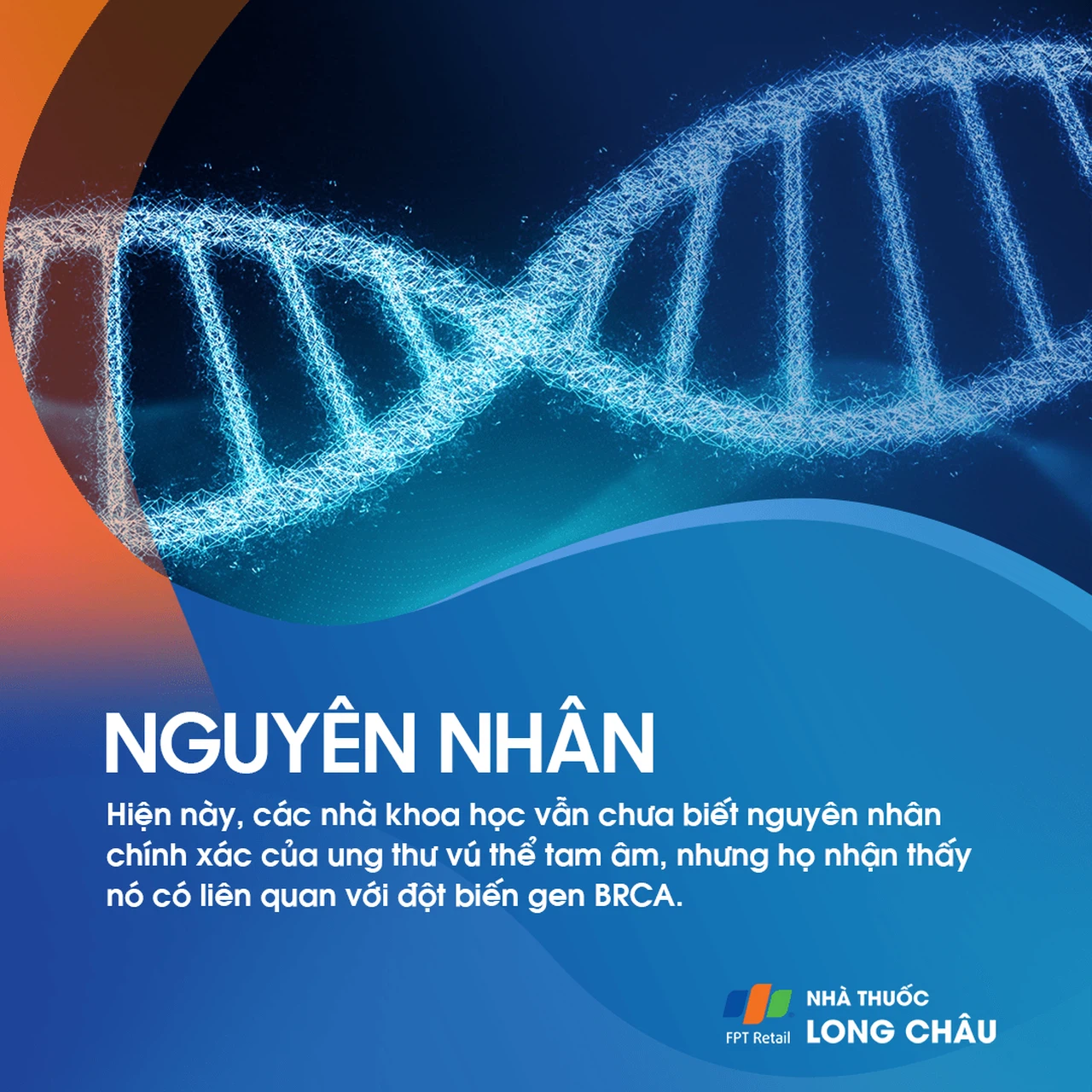Ung thư vú thể tam âm 3