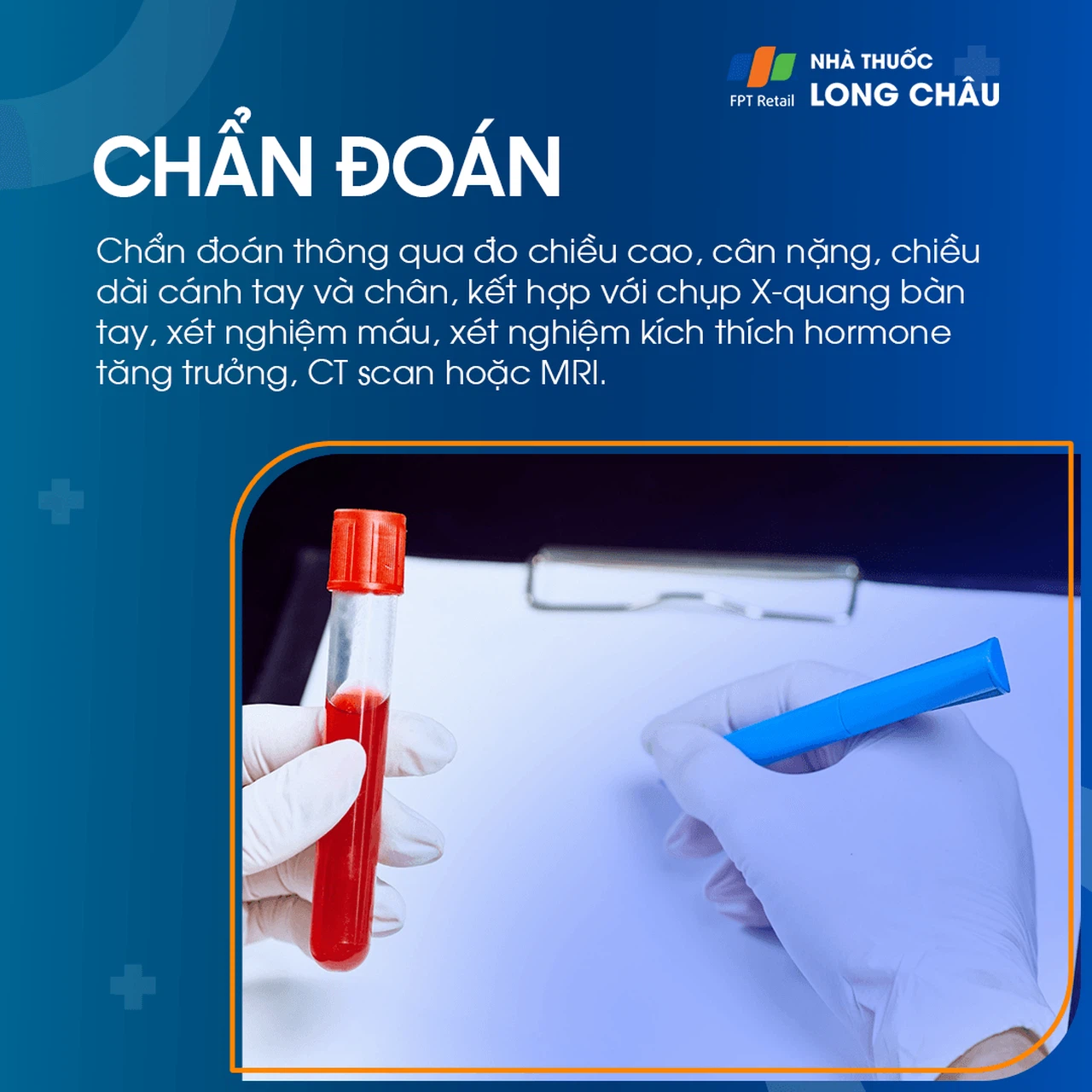 Lùn tuyến yên 6