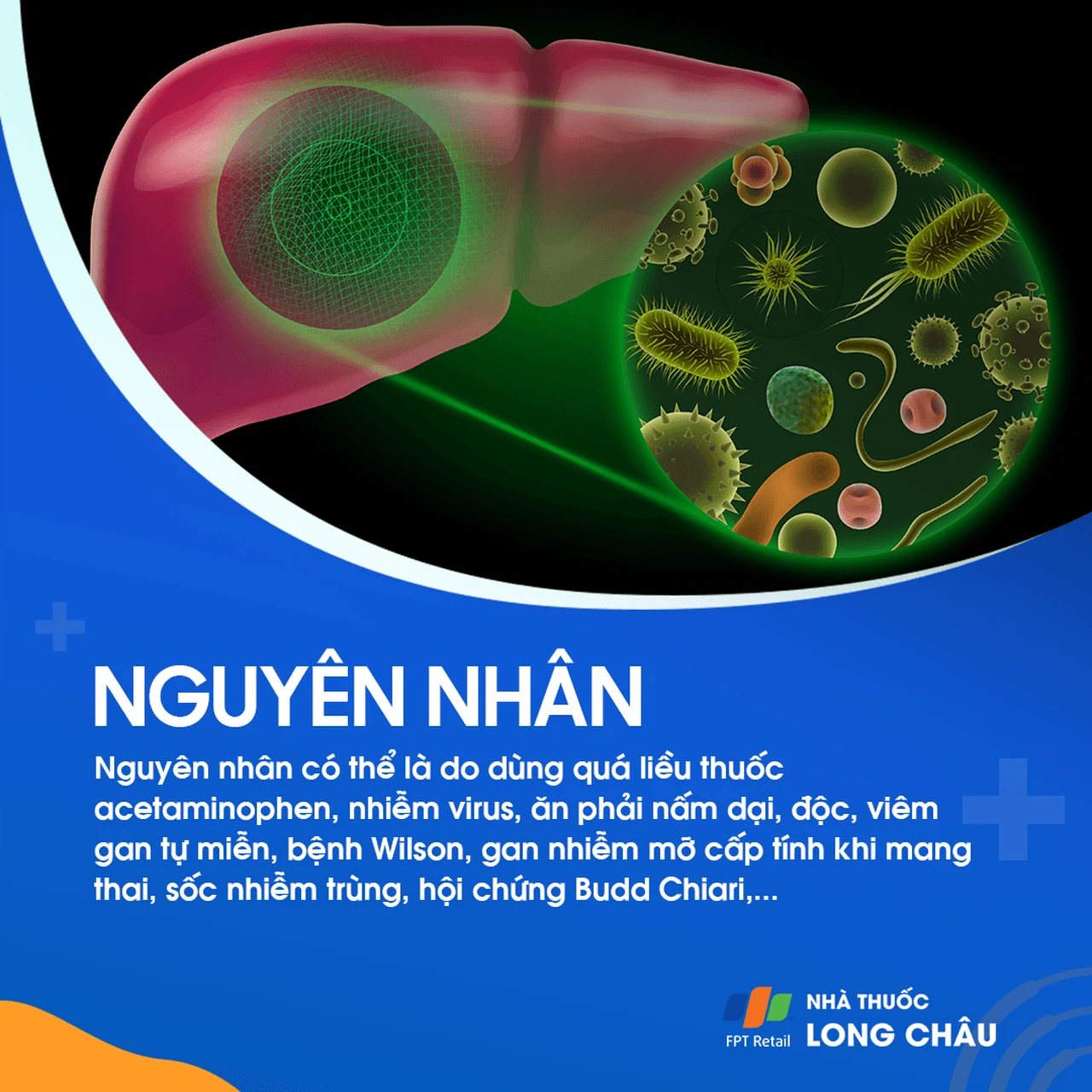 Suy Gan Cấp 3