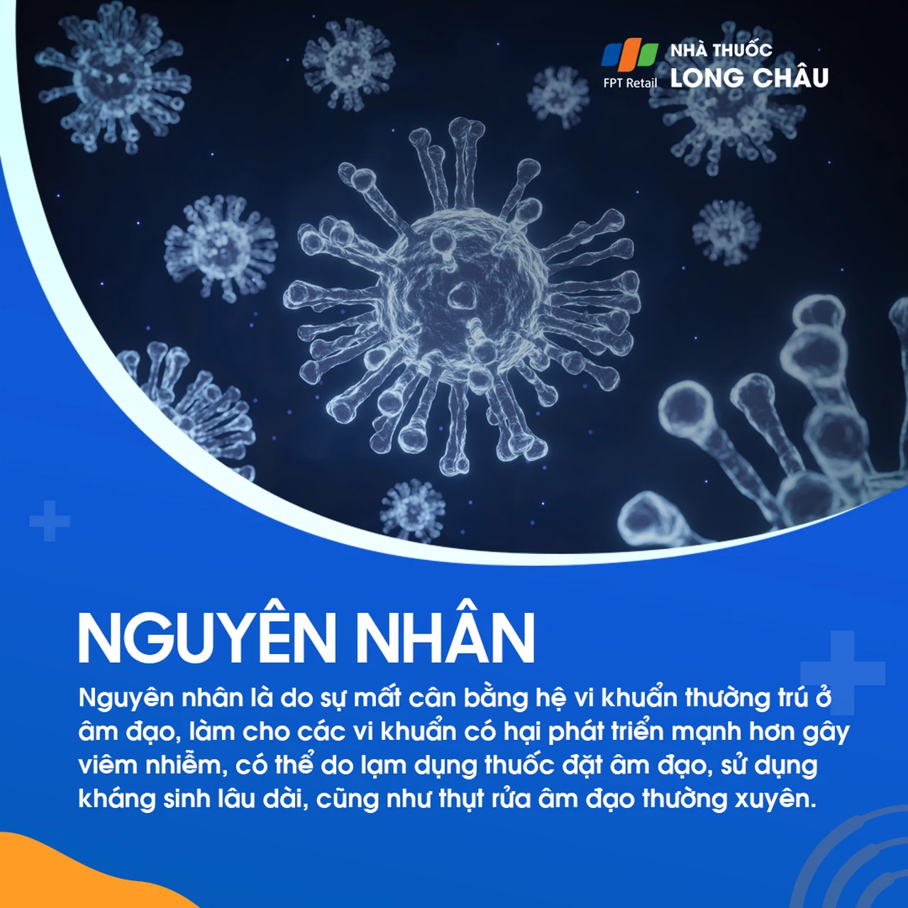 Huyết trắng 3
