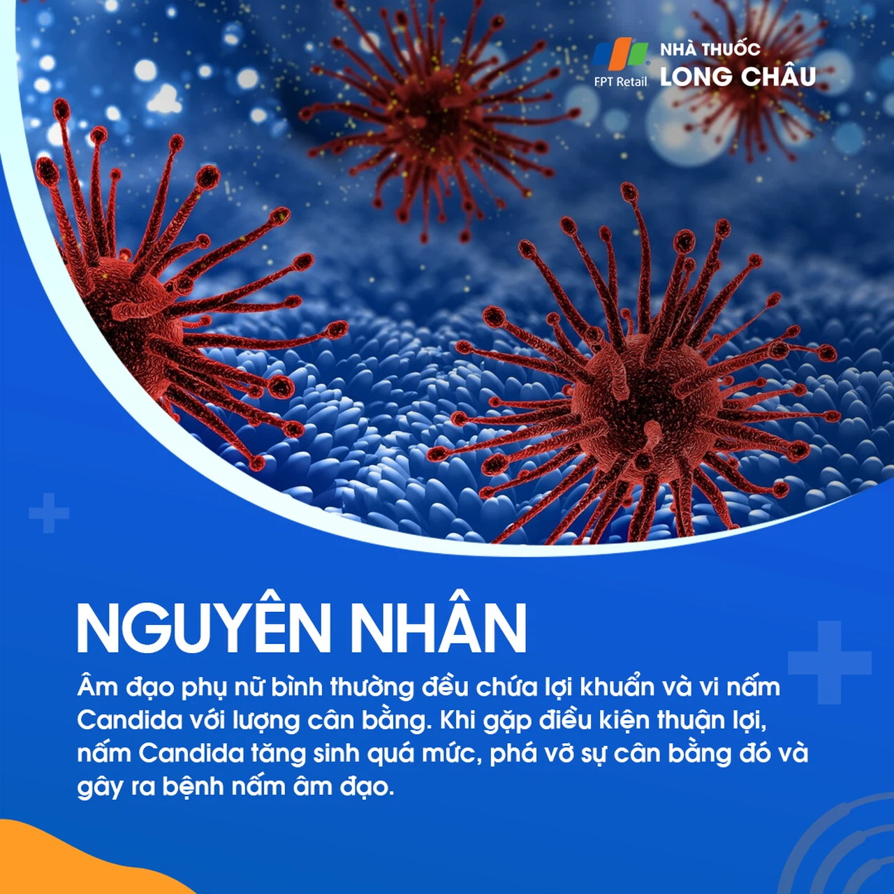 Nấm âm đạo 3