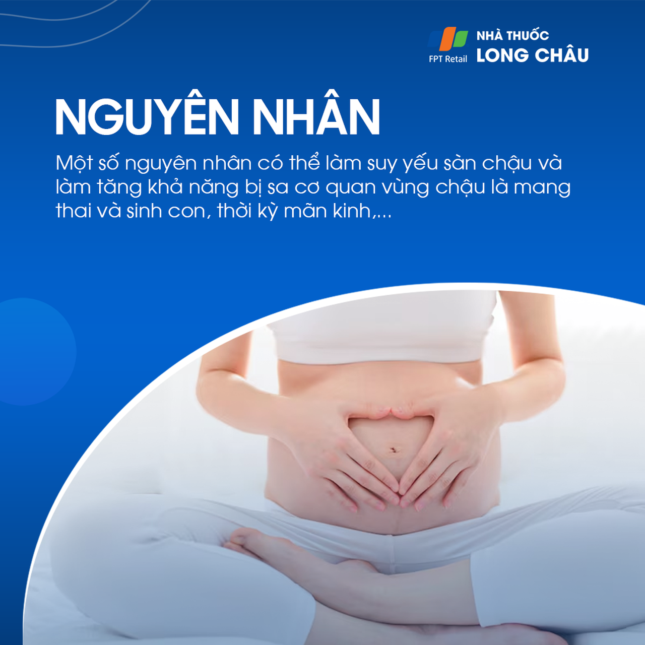 Sa sinh dục 3
