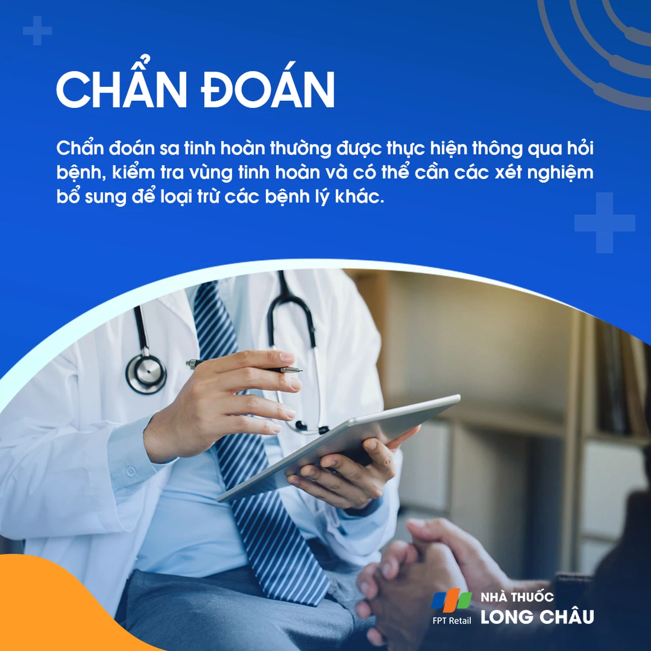 Sa tinh hoàn 5