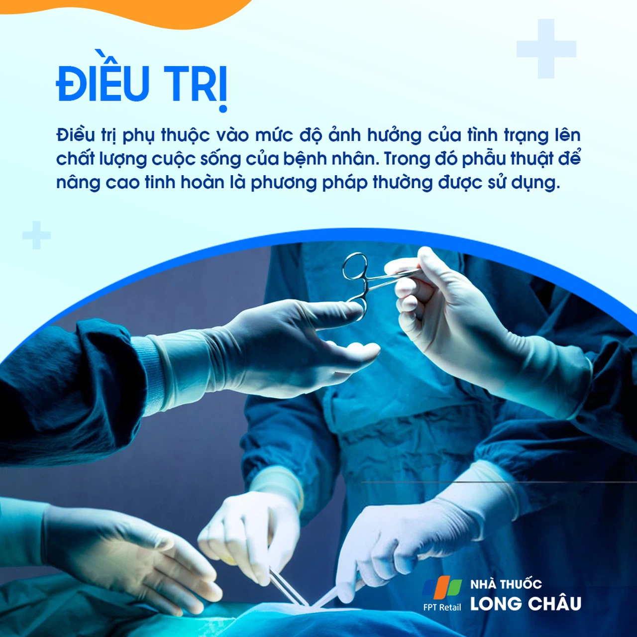 Sa tinh hoàn 6