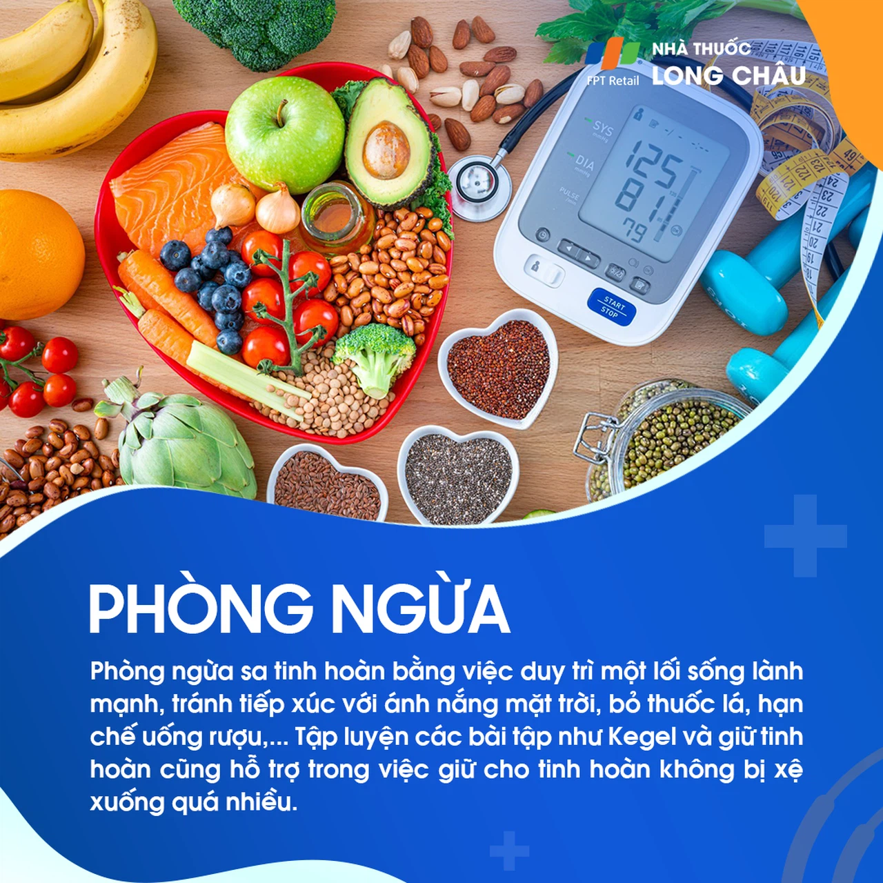 Sa tinh hoàn 7