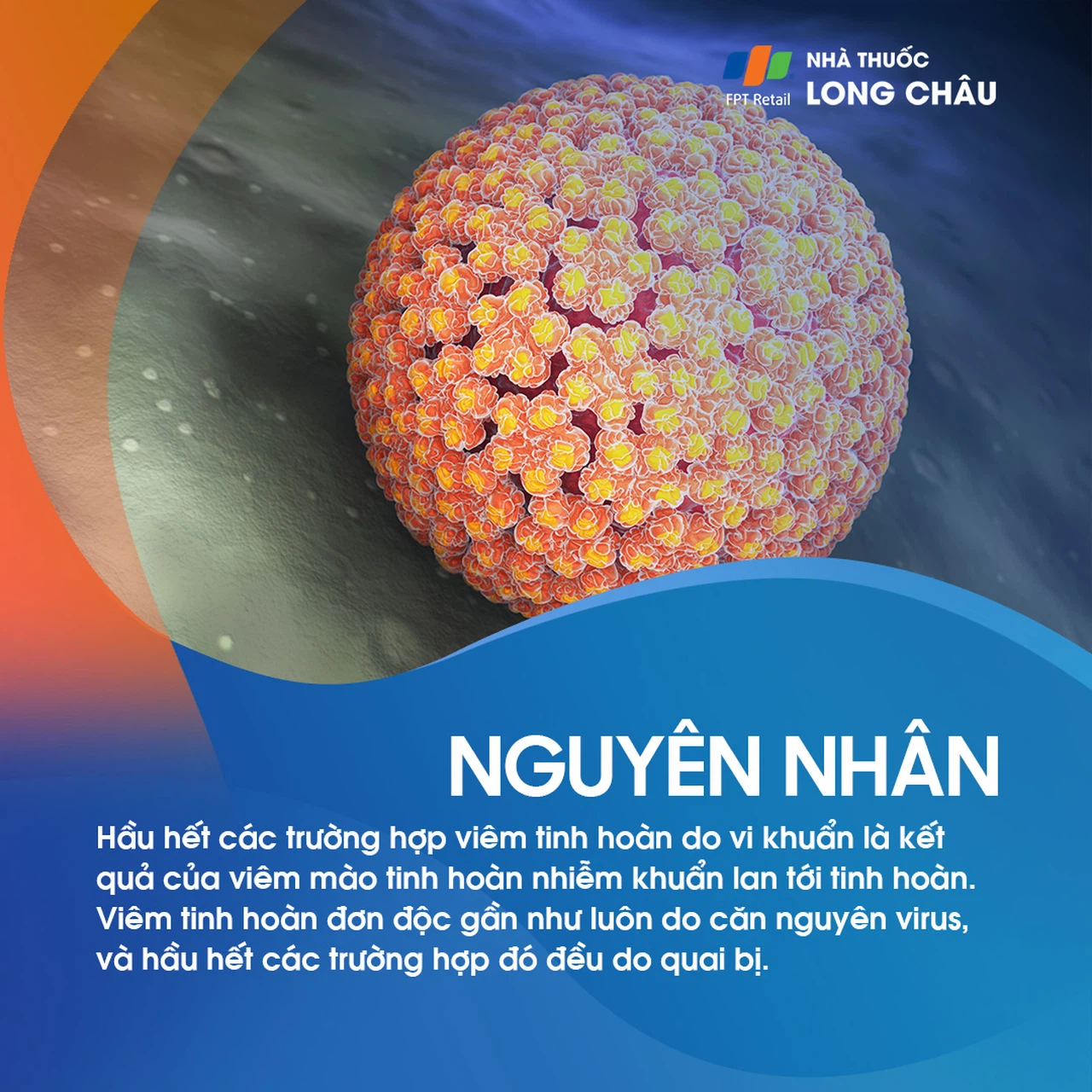 Viêm tinh hoàn 3