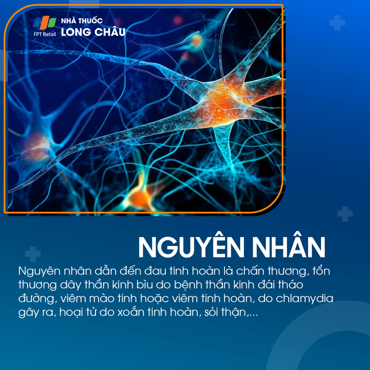 Đau tinh hoàn 3